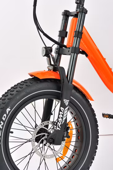 Cargo MID Motor High Power E Trike 3 Wheel Customized Adult Electric Tricycle