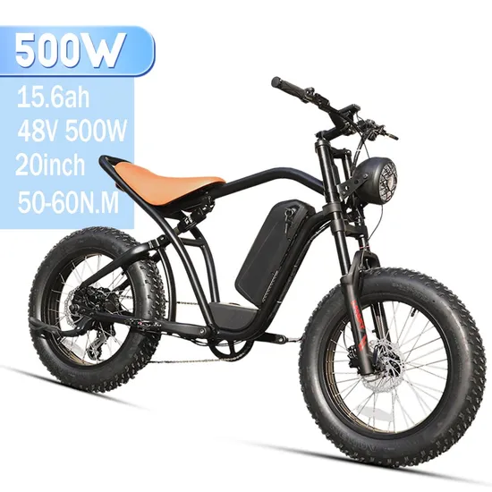 China Hot Sale Rear Wheal Disc Brake MTB Ready to Ship Fat Tire Beach Cruiser Electric Bike