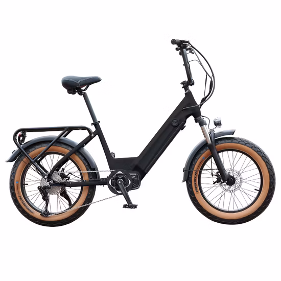 Good Quality Electric Snow Beach Cruiser Bike for Adult