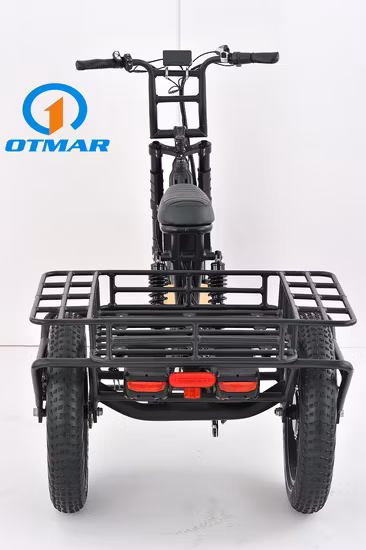 Fat Tire Wheel Motor Adult Motorcycle Cargo Three Wheels Electric Trike