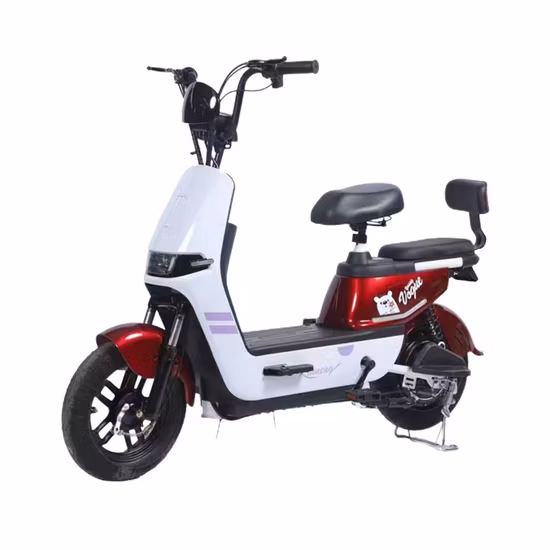 OEM 48V 13ah 7-Speed 800W Electric Bike for Adult