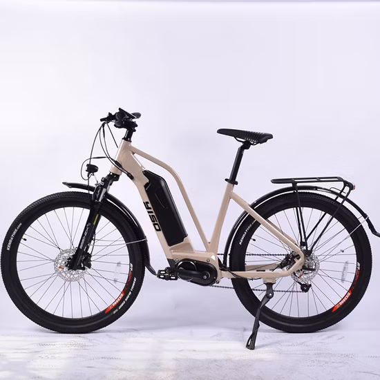 Hot Sell MID Drive Moutain E Bike 27.5 Inch 500W