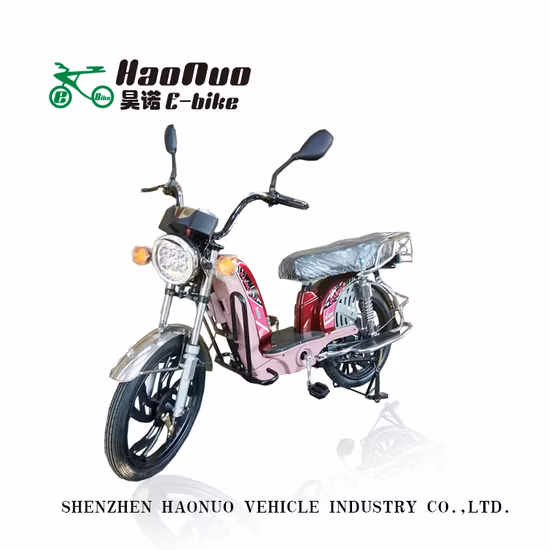 17inch Wheel 60V 500watt Moutain and Road Electric Bike for Sale