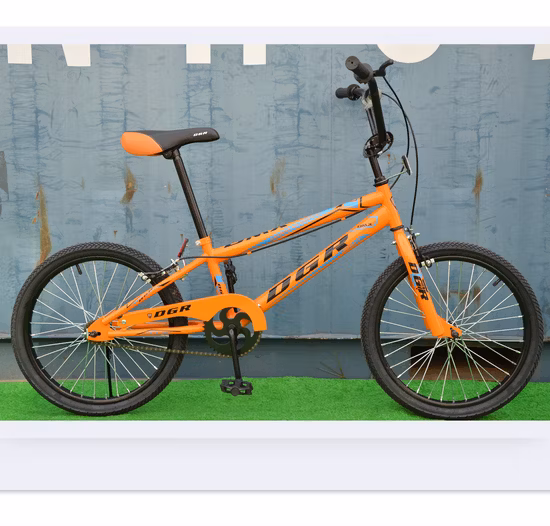 Made in China 20 Inch BMX Bicycle