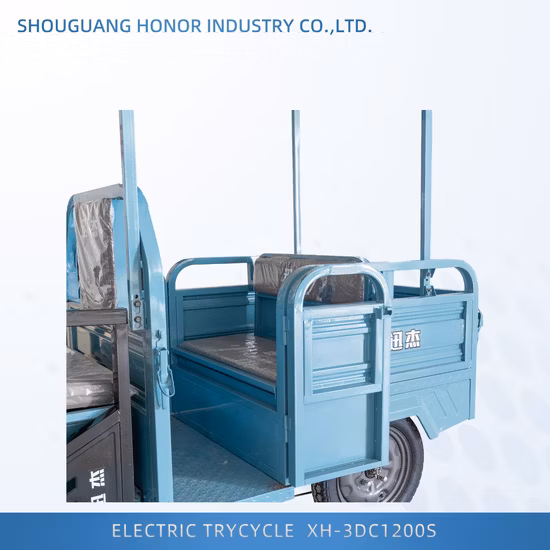 Cheapest Electric Mini Tricycle with Foldable Back Seat